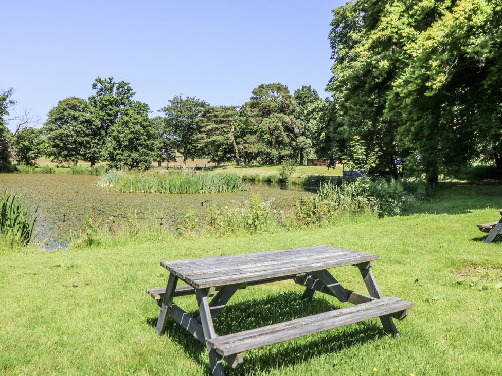 A picnic table beside a pond at Glanrannell Park House in Llanwrda