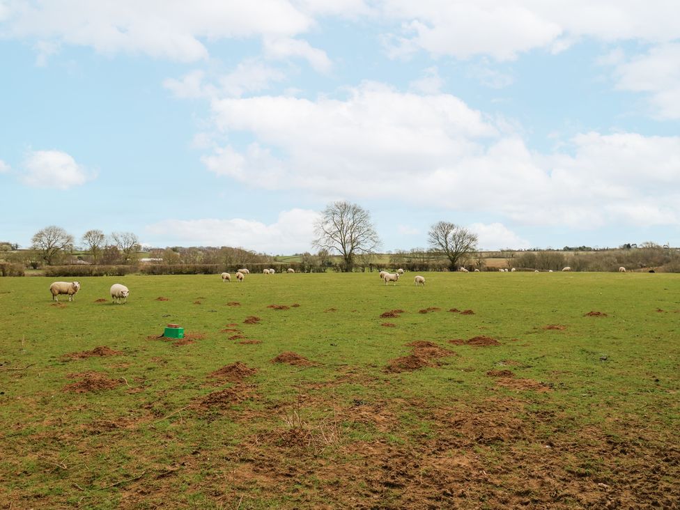 The Round House - Cotswolds - 1172414 - thumbnail photo 42
