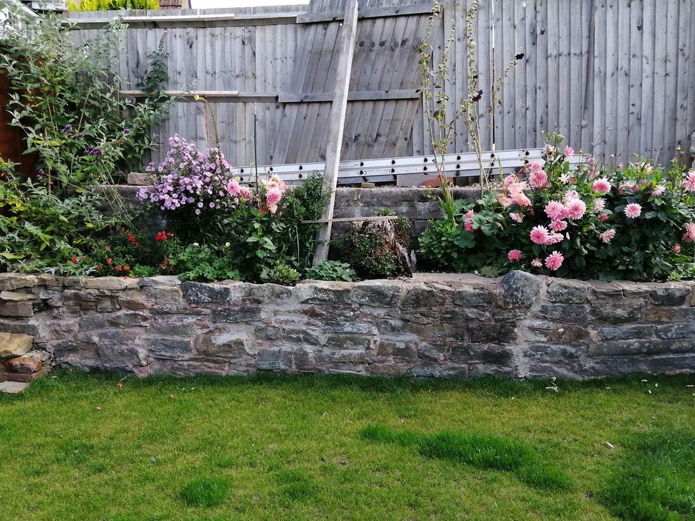 A flower bed with pink flowers and green plants at Colliers Cottage in Cinderford