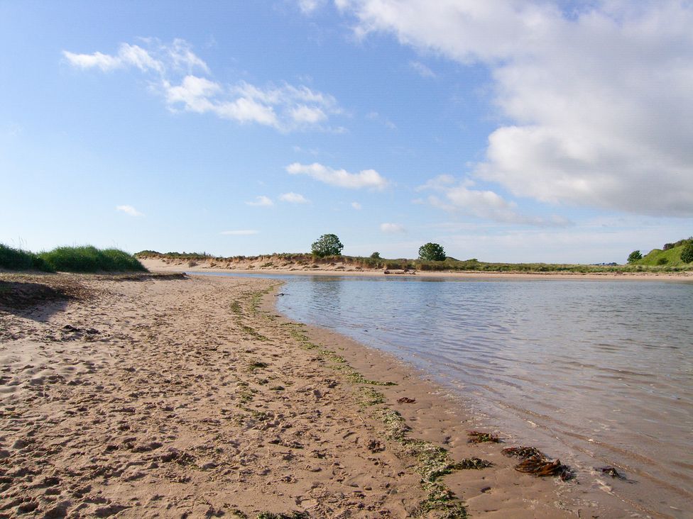 A riverbank with sand and trees at Seafield Granary Alnmouth