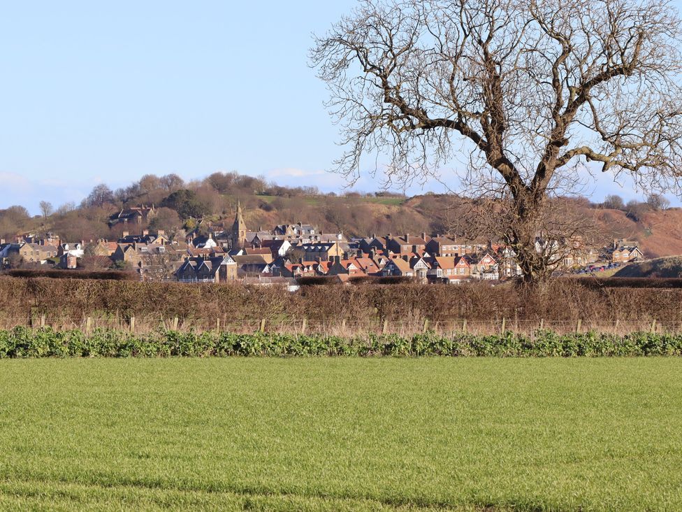 A view of houses in a village with a tree and field at Seafield Granary in Alnmouth