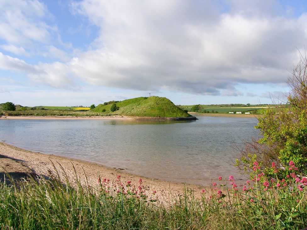A view of an island in a water body with grass and flowers at Seafield Coach House in Alnmouth