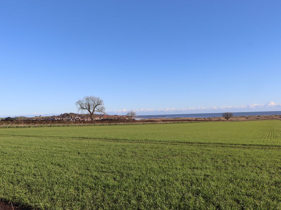A field with a tree and sea view at Seafield Coach House in Alnmouth