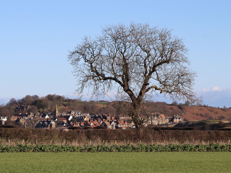 A view of a tree and houses in the background at Seafield Coach House Alnmouth