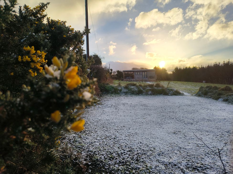 A hut in a field with flowers at Fir Tree Shepherd's Hut Llanon
