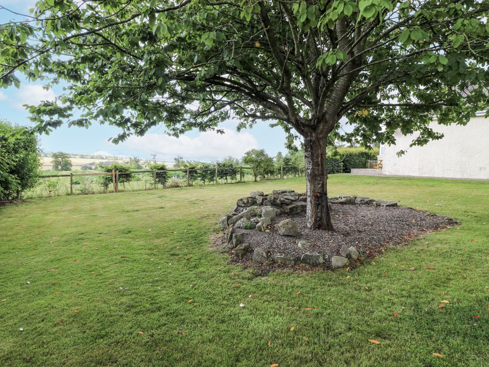 A garden with a tree and rock formation at Top Cottage in Cupar, Fife