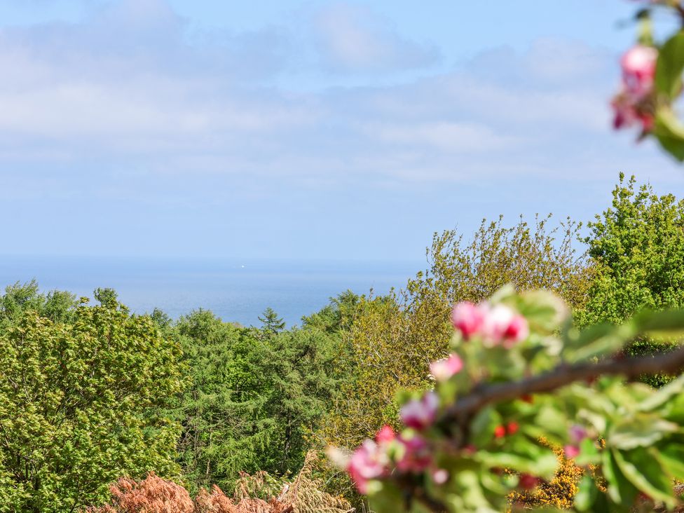 Wayside Farm Dairy Cottage - North Yorkshire (incl. Whitby) - 1172538 - thumbnail photo 23