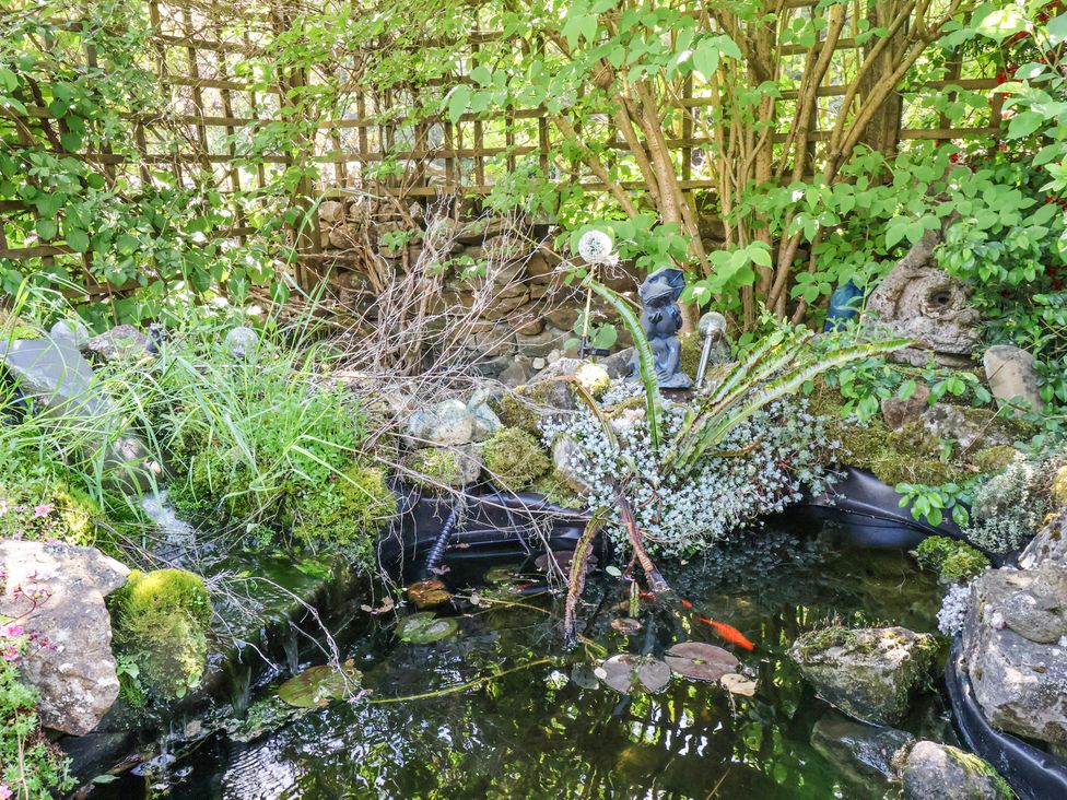 A garden pond with fish surrounded by plants rocks and a lattice fence at Wayside Farm Stable Cottage Cloughton near Burniston
