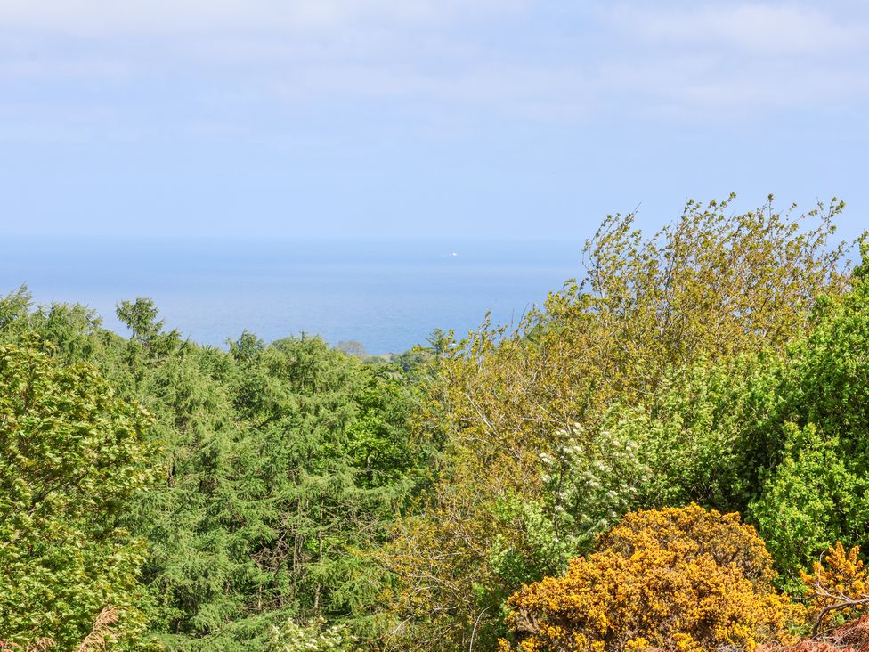 A view of trees and shrubs with the sea in the background at Wayside Farm Stable Cottage in Cloughton near Burniston