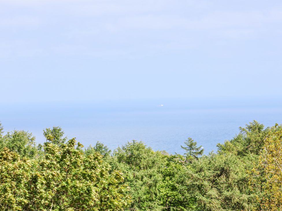 A view of trees with the sea in the background at Wayside Farm Stable Cottage in Cloughton near Burniston