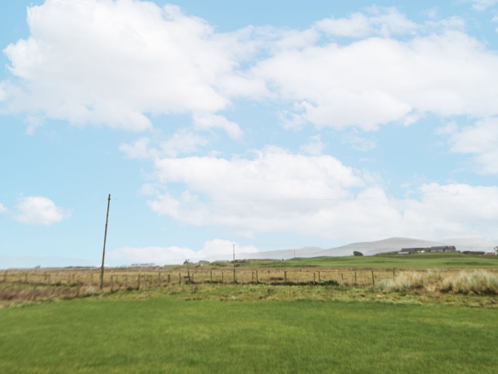 An outdoor scene with grass and a telephone pole at Twyn Isaf in Borth