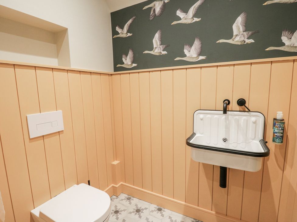 A bathroom with a toilet and a sink at Twyn Isaf Borth