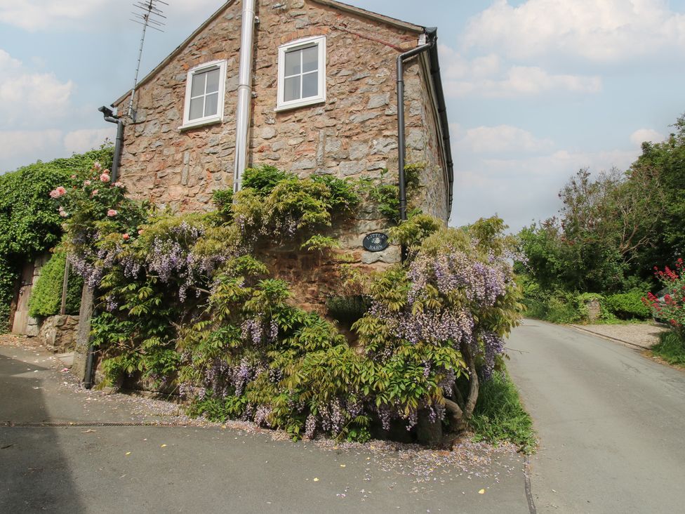 Little Barn - Shropshire - 1172562 - thumbnail photo 30