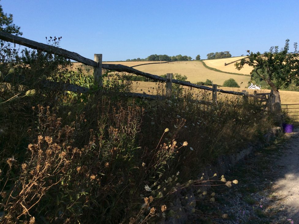 A fence along a field with grass and trees at Westacombe Farm Dunsford near Tedburn St Mary