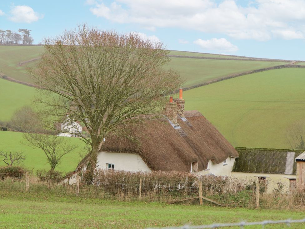 Westacombe Farmhouse - Devon - 1172629 - thumbnail photo 61