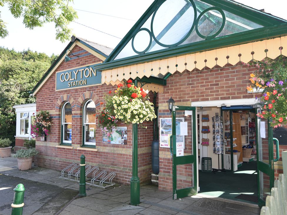 Dragon Cottage - Devon - 1172681 - thumbnail photo 31