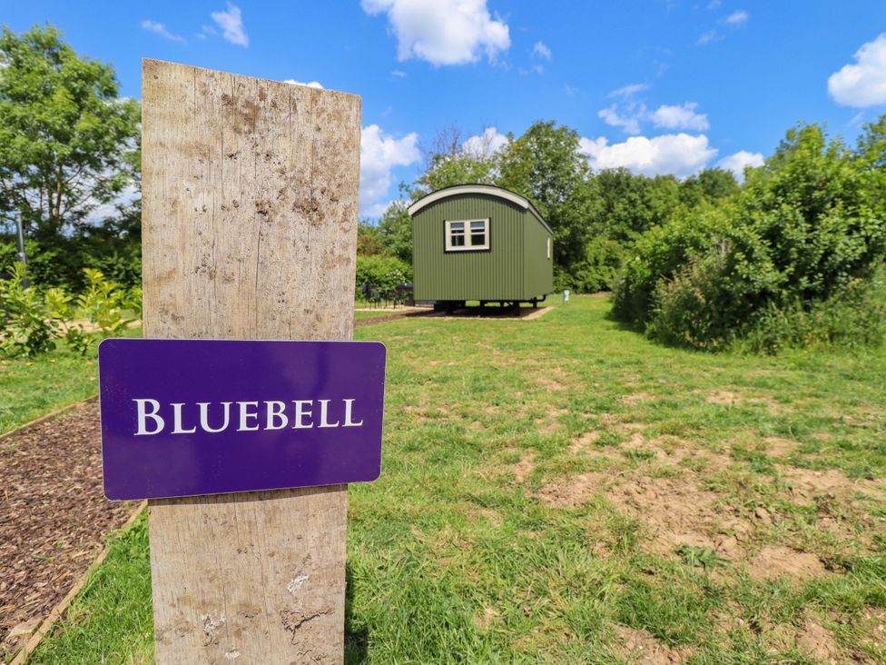 A sign for Bluebell in front of a green hut at Bluebell in Grimsby