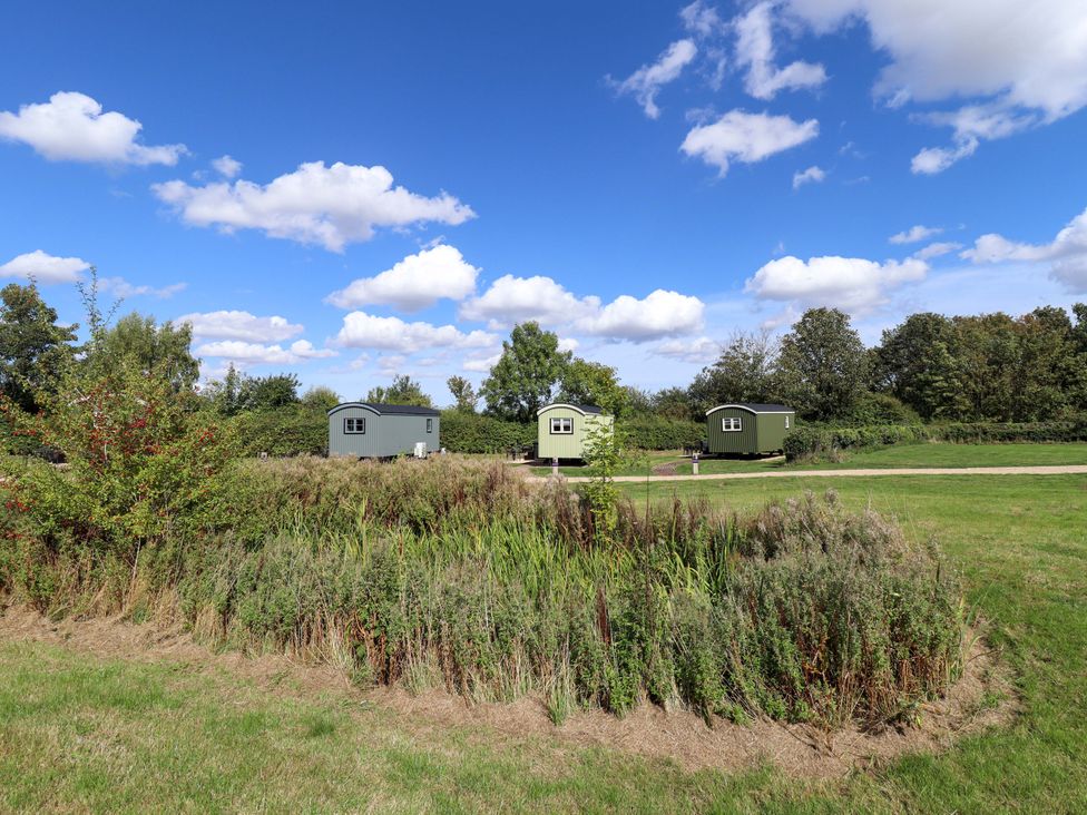 Three green huts in a field with trees and blue sky at Snowdrop in Grimsby