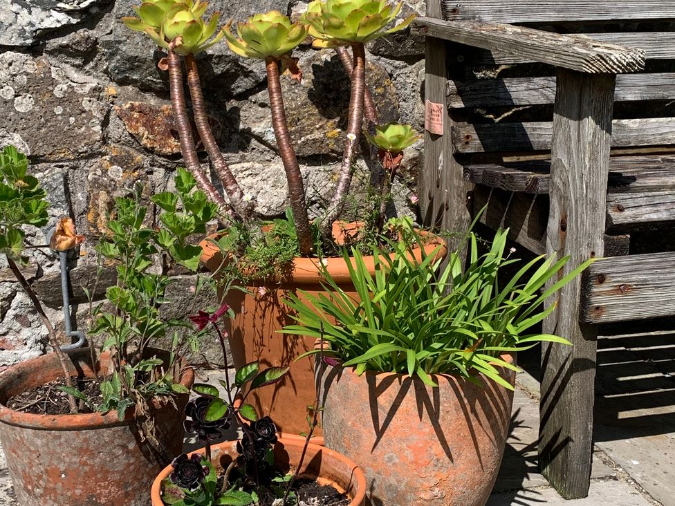 A garden with terracotta pots containing various plants at Stargazy Skies near Beacon Drive