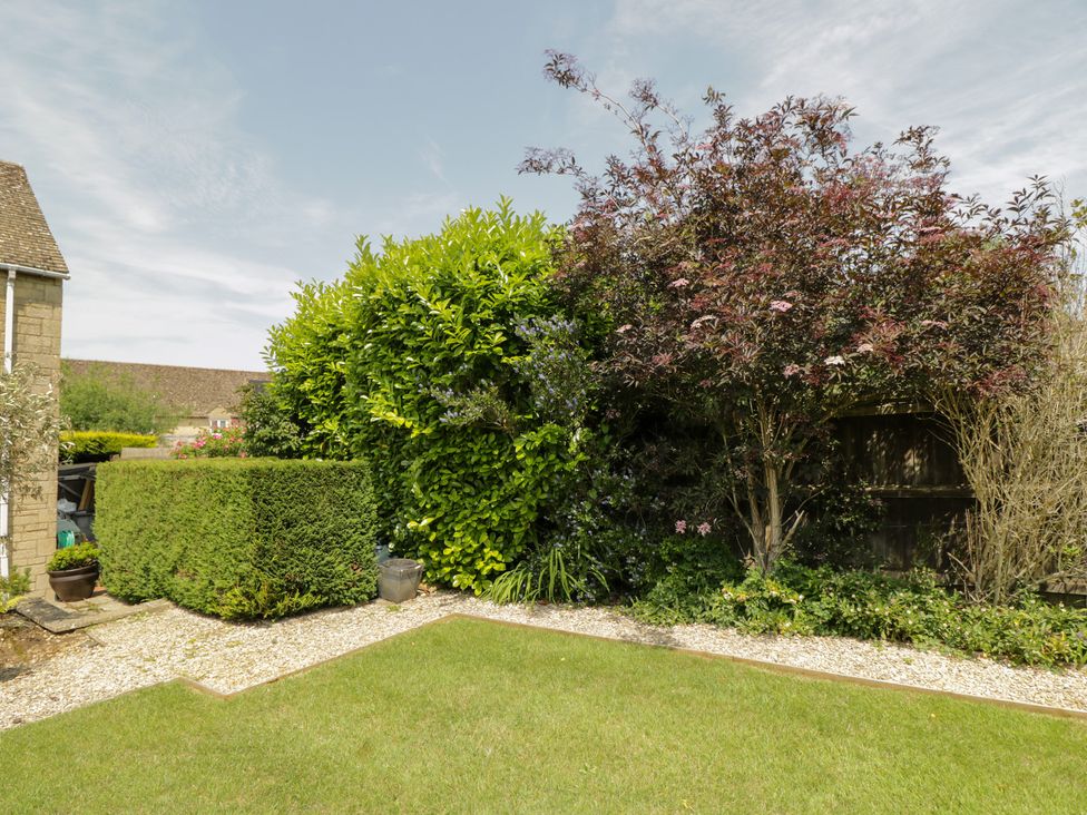A garden with shrubs and grass at Lorien in Fifield