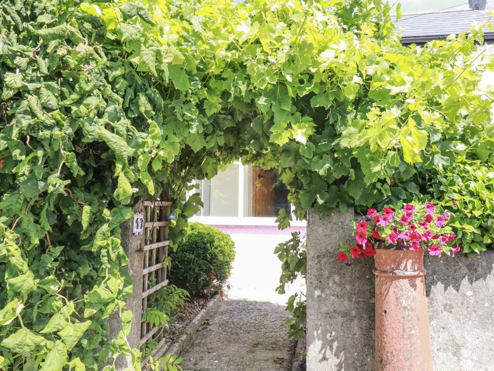 A pathway with grapevines and flowers at Brockstone Cottage in St Austell