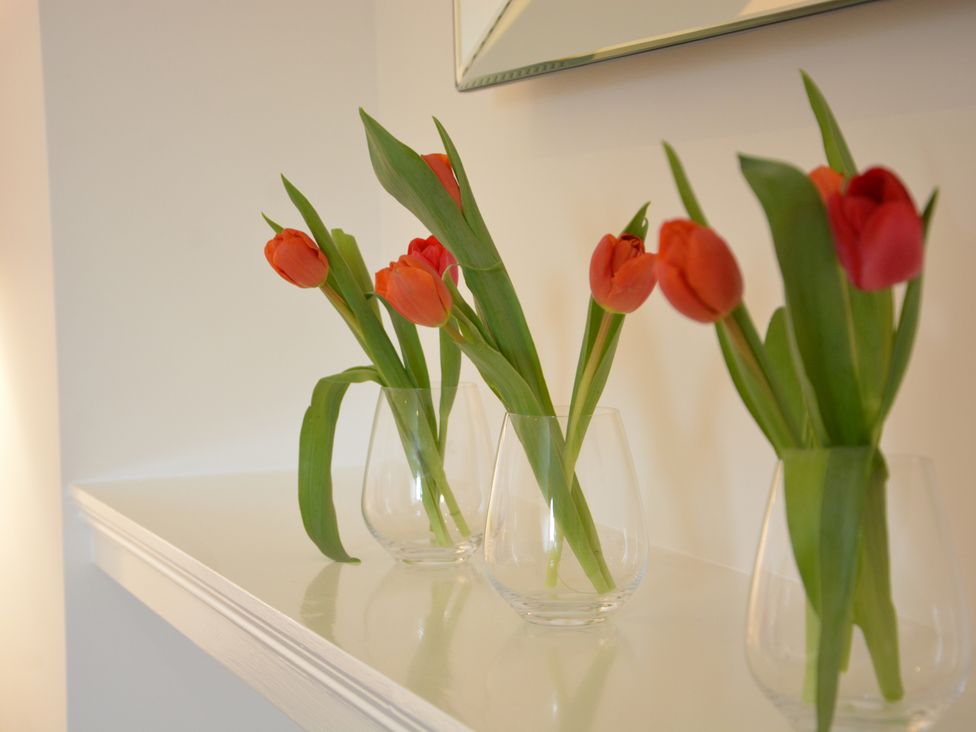Sea Crest - Suffolk & Essex - 1172858 - thumbnail photo 32