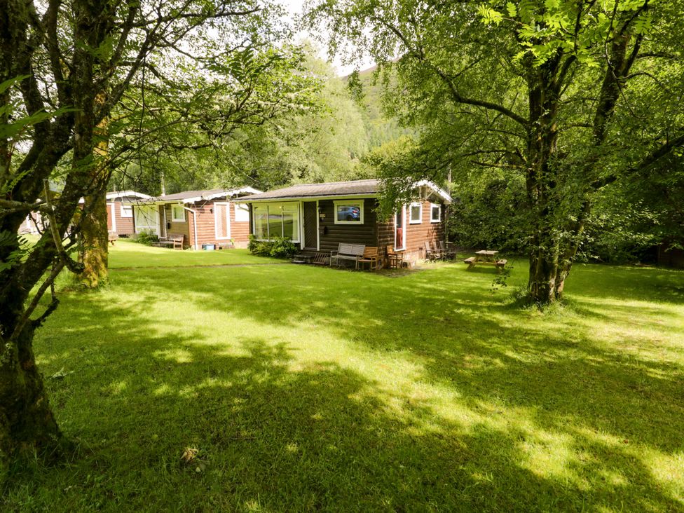 A cabin with a lawn and trees at Ty Bedwen in Dinas Mawddwy