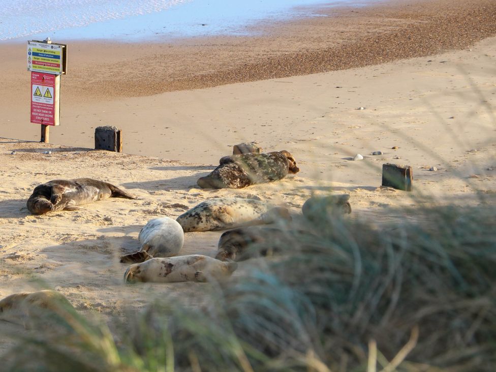 Sweetacres - Norfolk - 1172912 - thumbnail photo 21