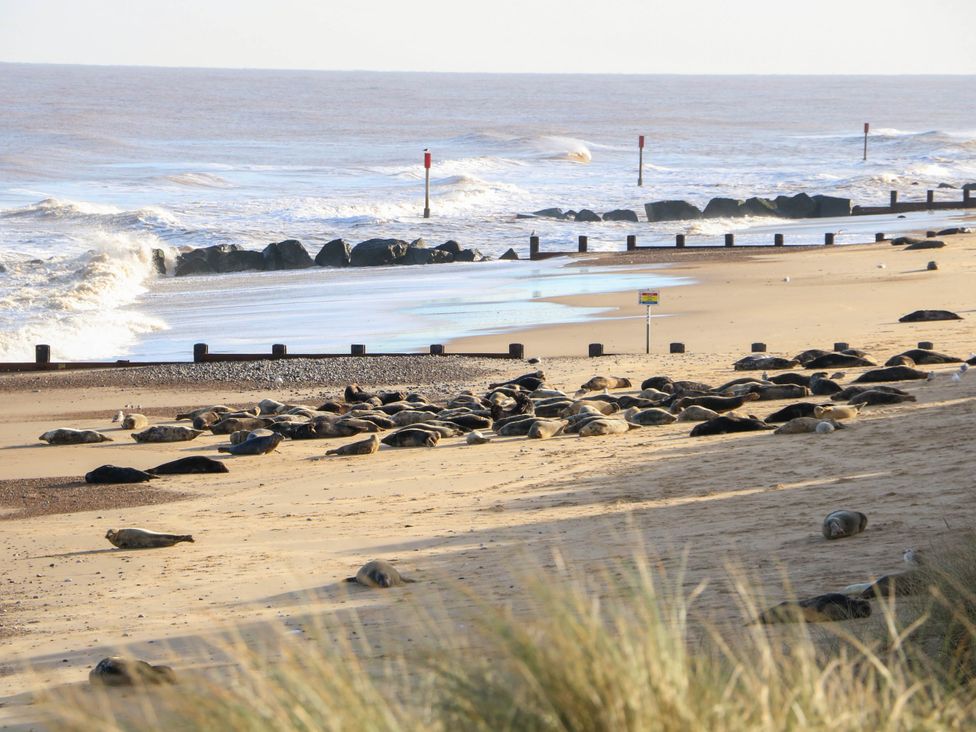 Sweetacres - Norfolk - 1172912 - thumbnail photo 23