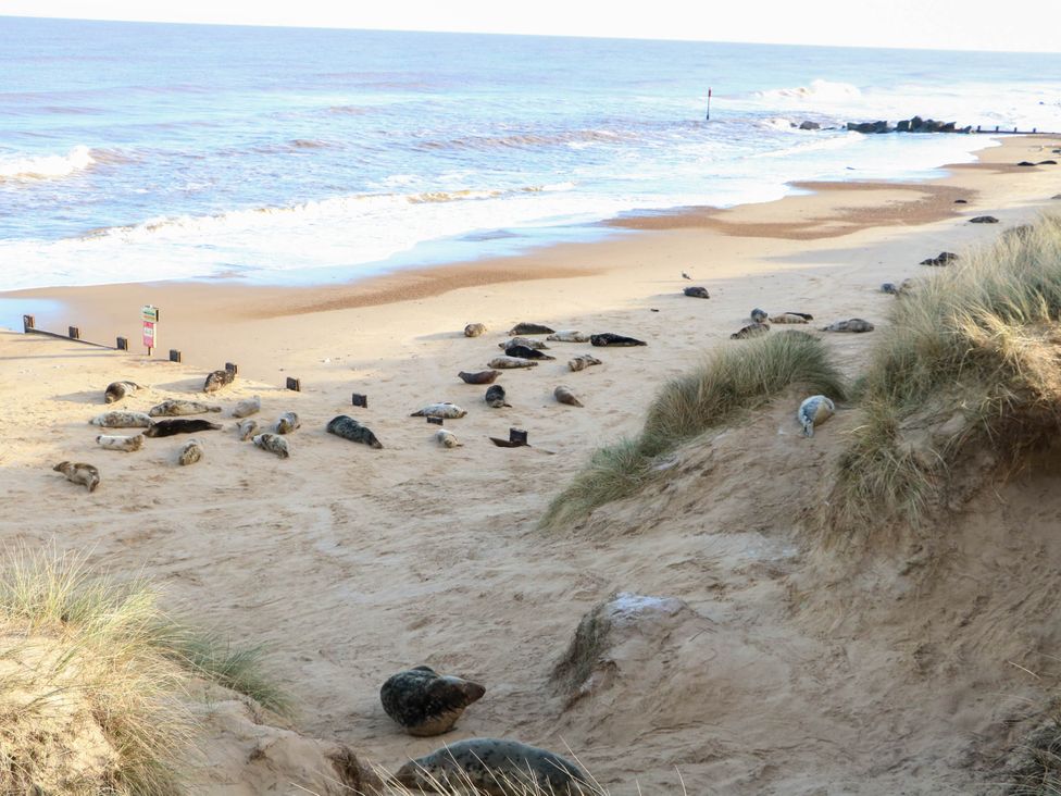 Sweetacres - Norfolk - 1172912 - thumbnail photo 24