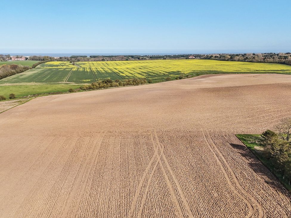 A landscape with fields of crops and flowers at Bewholme in Skipsea