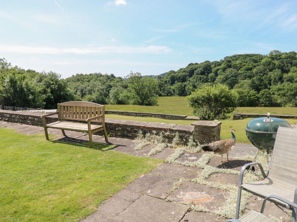 A garden with a bench, grill, and a peacock at Coytrahen House near Bettws