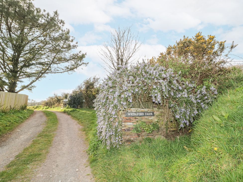 Wringford Farm Annexe - Cornwall - 1173014 - thumbnail photo 18