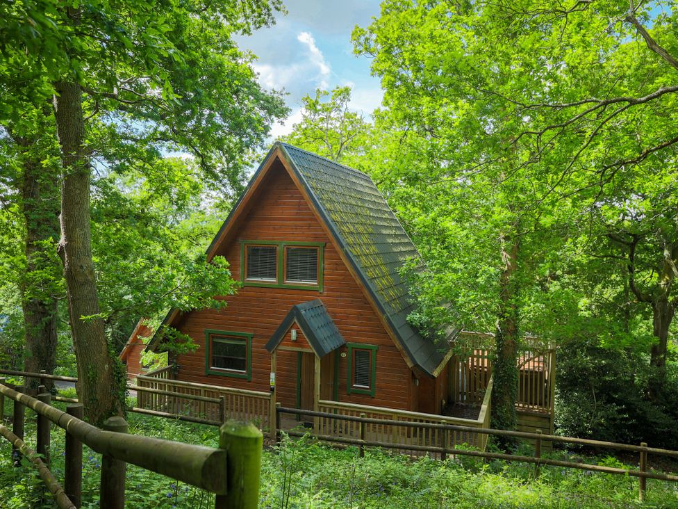 A wooden cabin surrounded by trees at Lodge 68 - Fern Gully Finlakes Holiday Park near Chudleigh