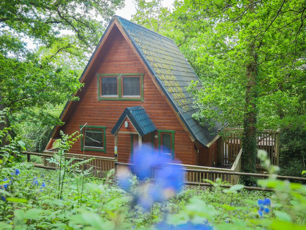A house surrounded by trees at Lodge 68 - Fern Gully near Finlakes Holiday Park