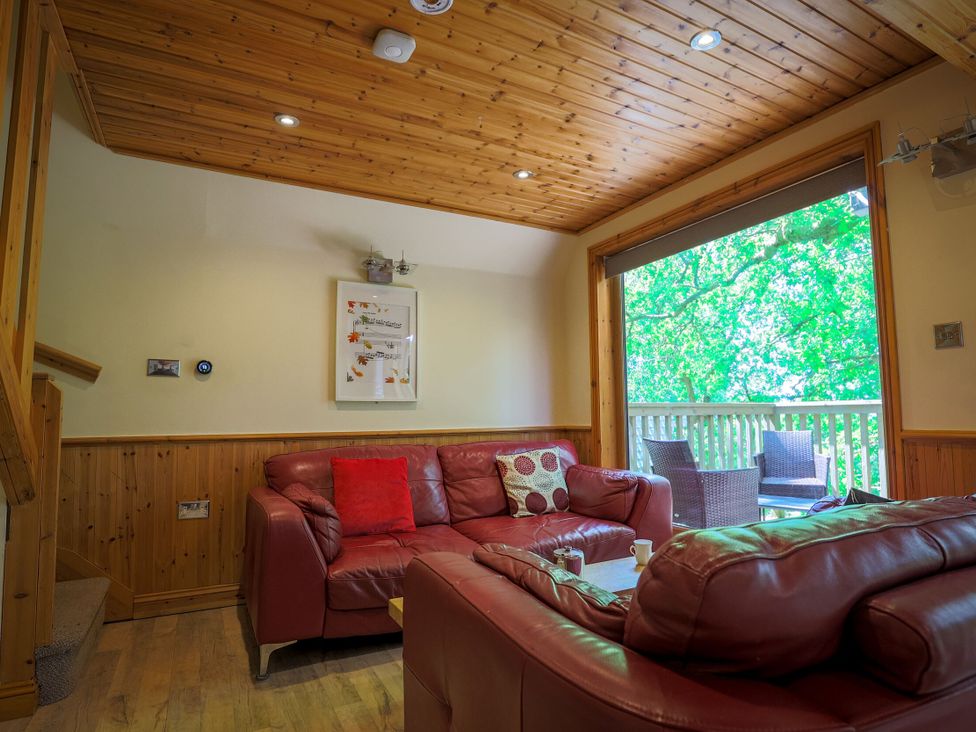 A living room with a sofa and window at Lodge 68 - Fern Gully near Chudleigh