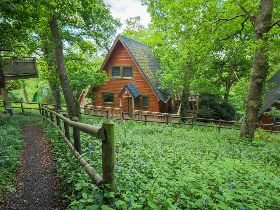 A house surrounded by trees and flowers at Lodge 68 - Fern Gully, Finlakes Holiday Park near Chudleigh