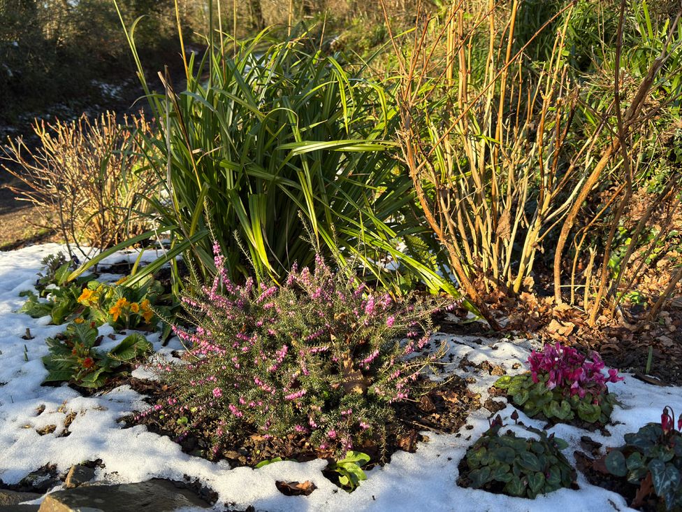 A garden with flowers and snow at Woodland View 31 - The Hawthorns Finlakes Holiday Park near Chudleigh