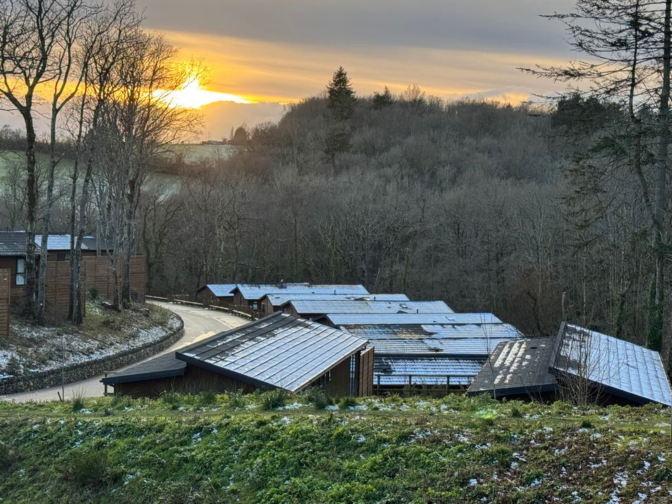 A view of cabins and trees during sunset at Woodland View 31 - The Hawthorns near Finlakes Holiday Park
