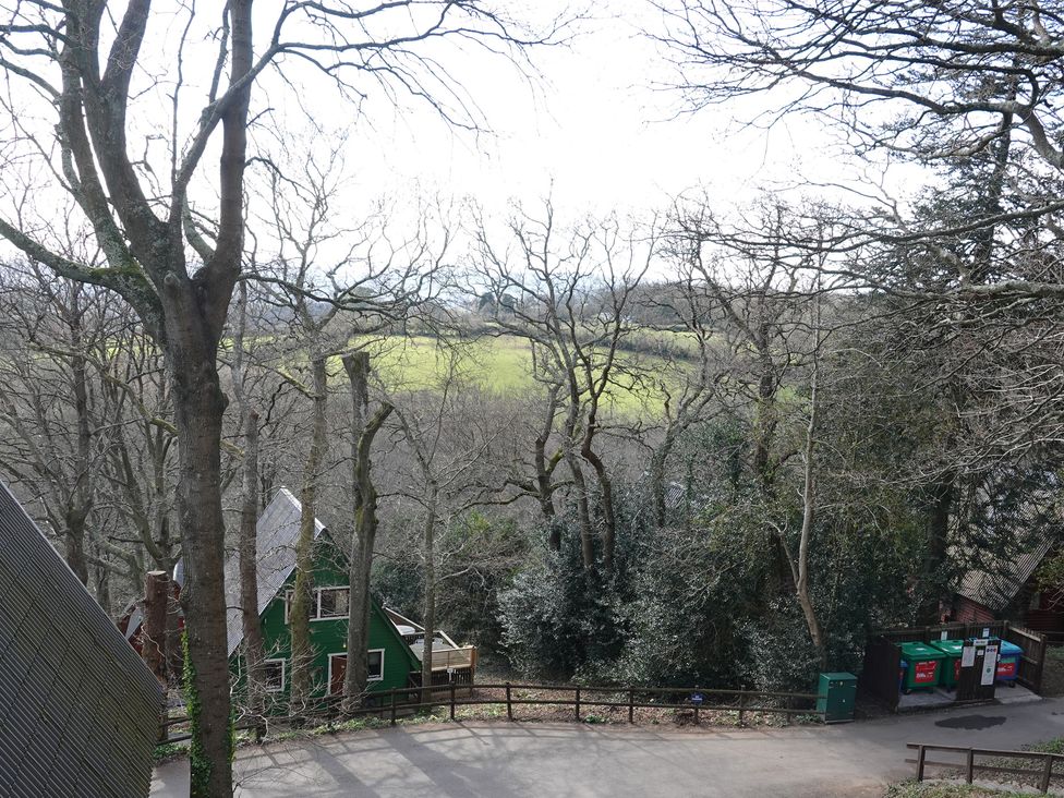 An outdoor view of trees, buildings and a field at Tor View in Finlakes Holiday Park near Chudleigh
