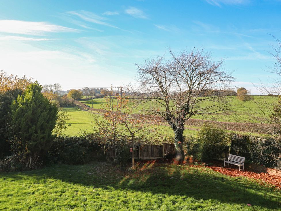 A garden with a tree and bench at Hallam Retreat in West Hallam
