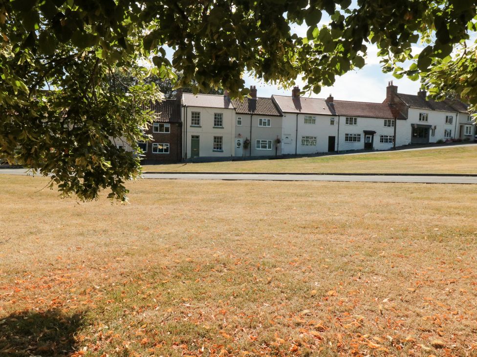 A row of houses with grass and trees in Hutton Rudby at Acorn Cottage