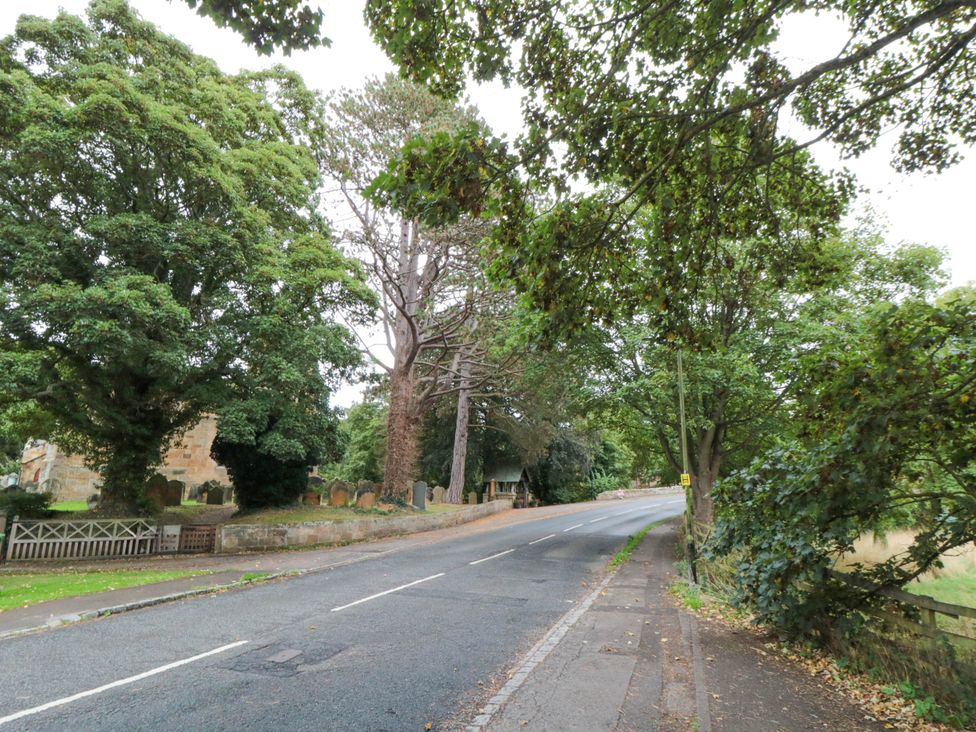 A road with trees and a cemetery in Hutton Rudby