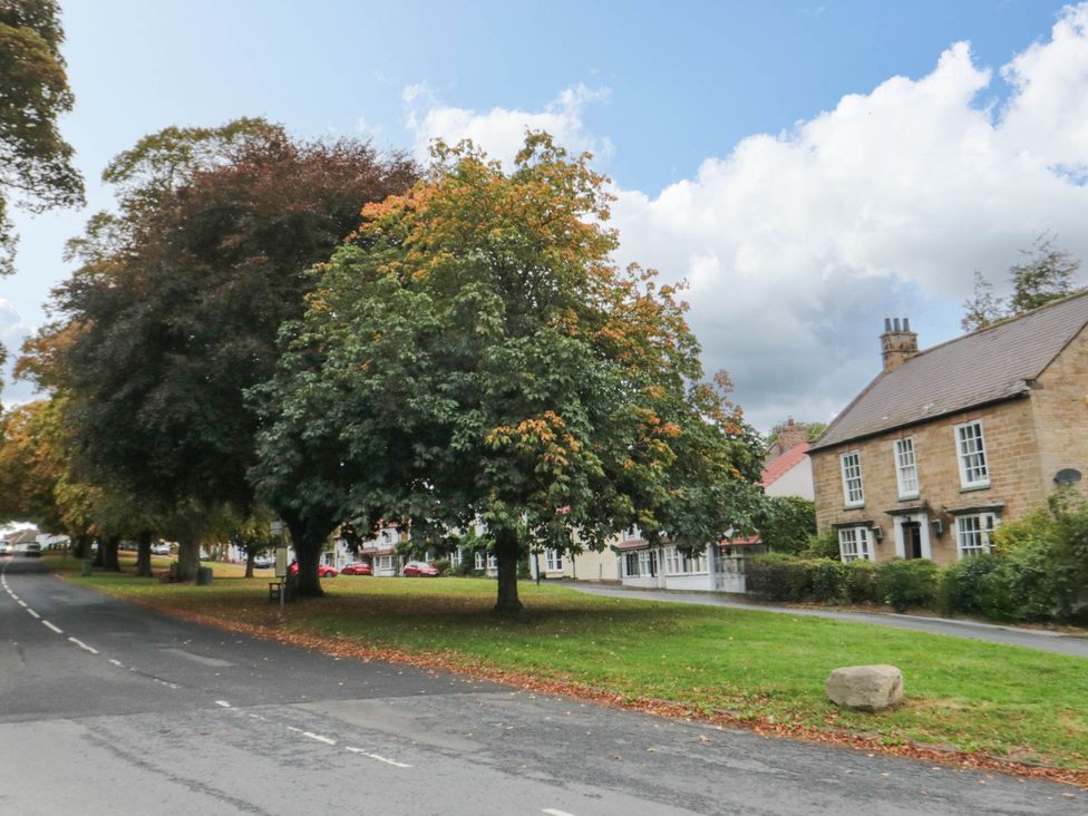 A street with trees and houses at Acorn Cottage in Hutton Rudby