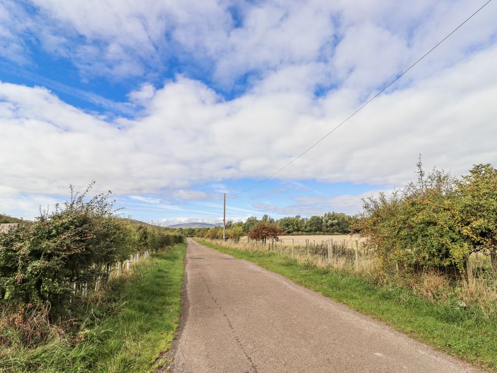 A road lined with bushes and trees at Peary House in Alnwick