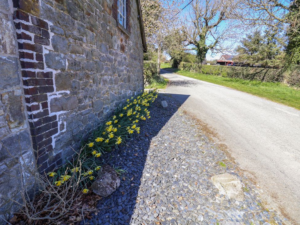 Walnut Cottage - North Wales - 1173134 - thumbnail photo 24