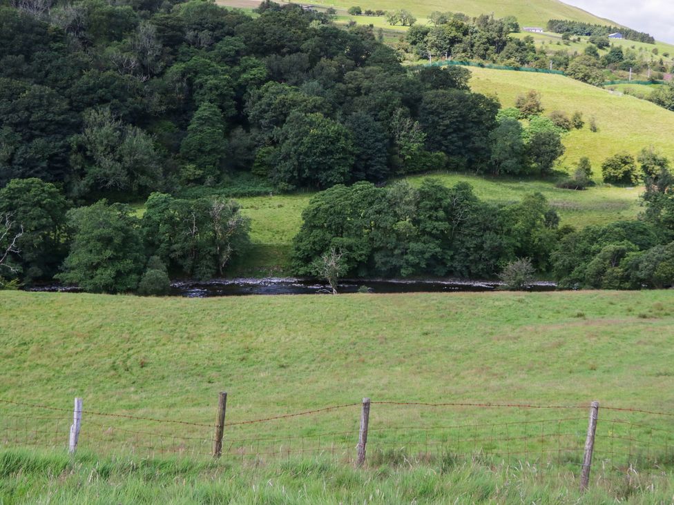 A river surrounded by trees and grass at Howgill Head in Kendal