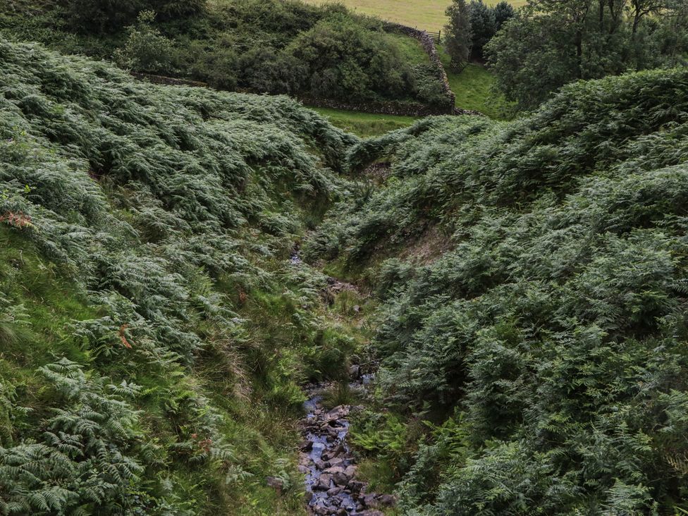A view of ferns and a stream in a valley at Howgill Head, Kendal