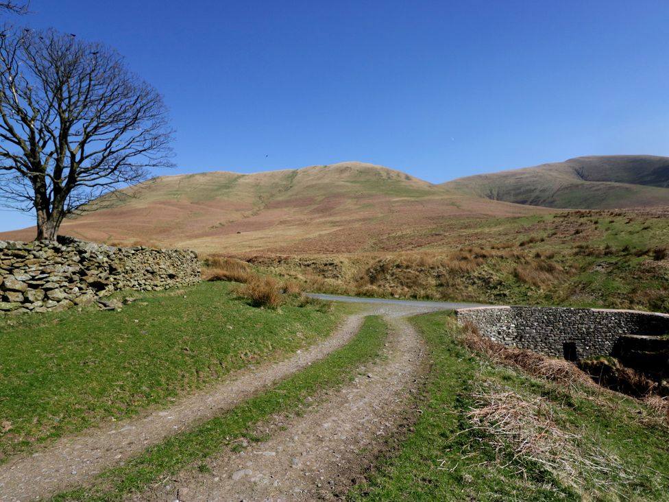 A landscape with a tree and stone wall at Howgill Head Kendal