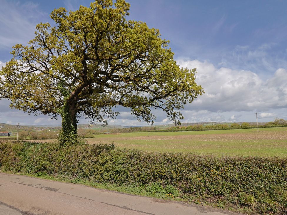 Rosemarie Annexe - Devon - 1173309 - thumbnail photo 29